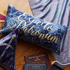 PBteen Harry Potter Pillow Cover Set
